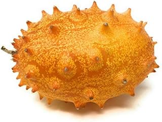 PRODUCE Organic Kiwano Melon