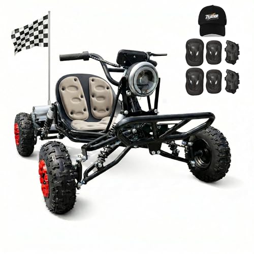 Zyliathor Electric Go Kart Adults/Kids - 48V 2000W Motor 12-31MPH, 6'' All-Terrain Tires, 10.4Ah(12+Mi), 440lbs Capacity, 3-Speed Modes LED Lights & Charger (Black)