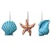 AGPtek® 12 PCS Fashion Decorative Home Bathroom Seashell Shower Curtain Hooks (Seashell: Blue; Starfish: Tan; Conch: Blue)