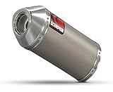 Nicht zugelassen Auspuff Scorpion Carbine Kawasaki ZZR 1400 (0811) Titan / Inox