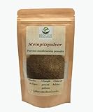 Steinpilzpulver 200g I Steinpilze I Naturbelassen I Gemahlen I Steinpilze getrocknet I BIO LEIS in harmony with nature (200g)