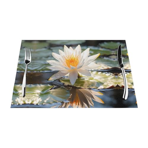 Tovaglietta in tessuto, 4 pezzi, resistente al calore, facile da pulire, adatta per feste all'aperto, decorazione da cucina, accessori da tavola, 30,5 x 45,7 cm, motivo floreale nazionale thailandese