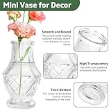 Zoom IMG-2 20 pezzi vasi in vetro Zoom IMG-2 20 pezzi vasi in vetro