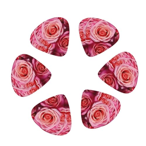 M^[sbN 12pbN GKgȃ[Yt[vg M^[sbNz_[ p[\iCYꂽM^[sbN AR[XeBbNM^[ oCI EN x[X