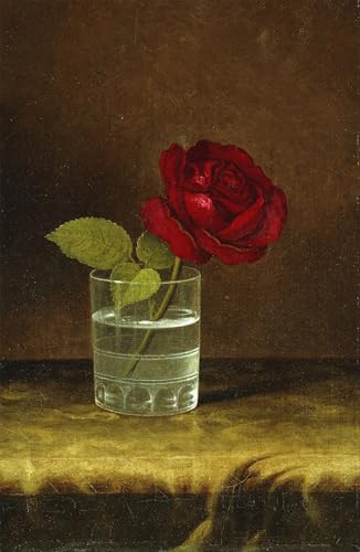 Tableau toile une rose rouge de Johnson Heade poster art 60x90