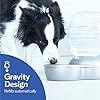 Petmate-Replendish-Gravity-Waterer-with-Microban-for-Cats-and-Dogs-1-Gallon Dog Water Bowl Dispenser