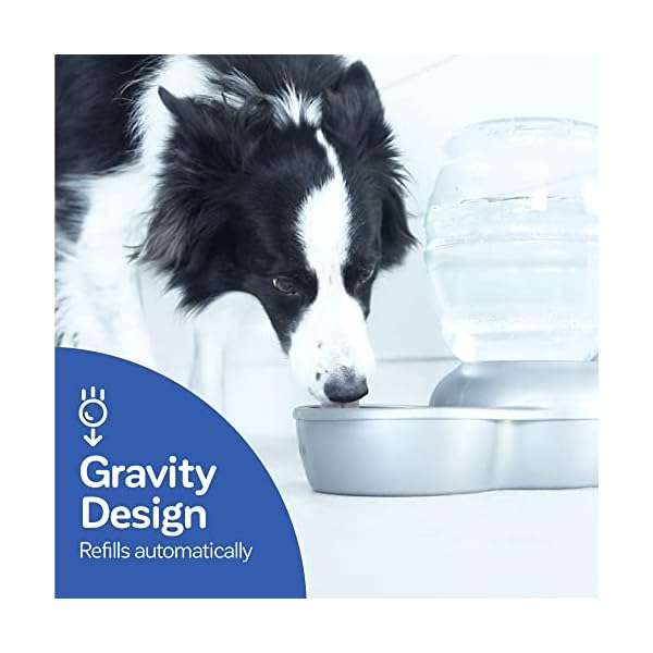 Petmate-Replendish-Gravity-Waterer-with-Microban-for-Cats-and-Dogs-1-Gallon Dog Water Bowl Dispenser
