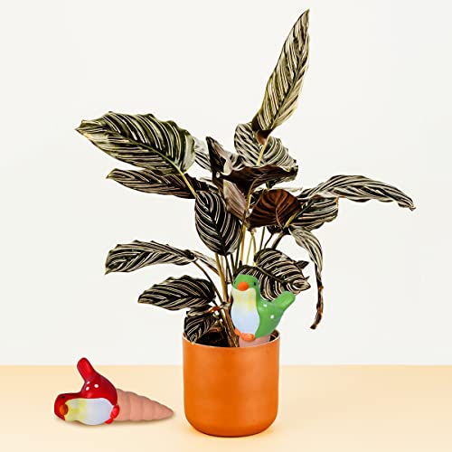 Gardtech Self Watering Stakes, 4 Pack Automatic Terracotta Watering Spikes, Garden Globes Irrigation Drippers, For Indoor & Outdoor Plants (Bird Shaped) #TOP6