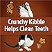 Purina Friskies Cat Treats, Party Mix Wild West Crunch - (Pack of 10) 2.1 oz. Pouches