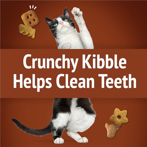 Purina Friskies Party Mix Wild West Crunch Cat Treats, (10) 2.1 oz Pouch - image 5