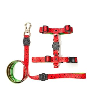 kit Coleira: Peitoral Modelo H + Guia (G, Melancia)