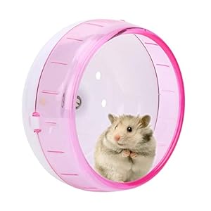 Hamsterloopfiets, hamsterrol, Ø 11,5, stille loopfiets, kunststof voor hamsters, racemuis en rat (roze)