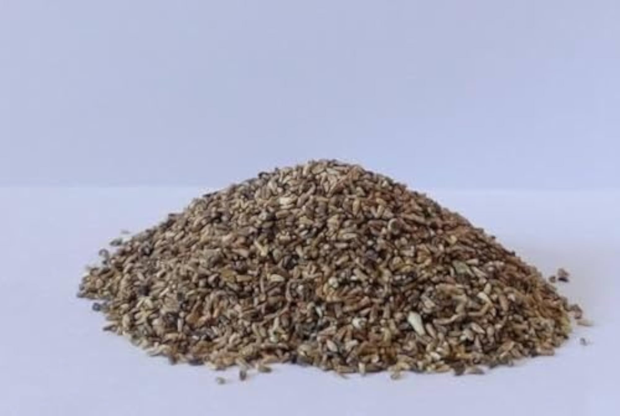 Kasni Seeds, 100g