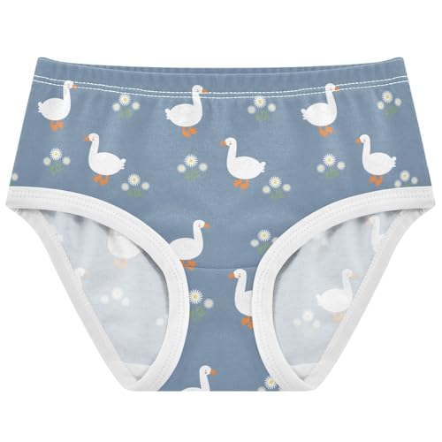 Soft Cotton Underwear Toddler Girls Briefs Soft Undies for 2-8 Years