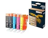  QUALITONER - 5 Cartouche Compatible pour Canon 525 XL - 526 XL 525XL - 526XL Noir + Photo Noir + Cyan + Magenta + Jaune pour Canon Pixma IP 4850 IP