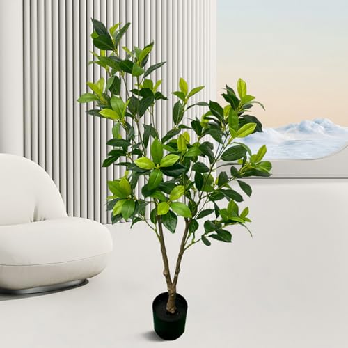 [LJKI] tFCNO[ ^ lHϗtA 180cm  L R { A  CeA lH A 傫 ze rO j JXj KW} Ղ 蕨 v[g Mtg zj V