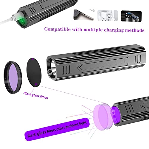 Lâmpada UV de madeira, portátil de 365 nm Pet Cat Dog UV luz preta lanterna detector de minhocas par