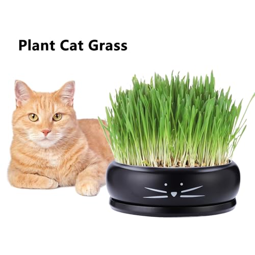 Koolkatkoo 8 Inch Cat Ceramic Succulent Planter Pot with Drainage Hole and Tray Flower Pot for Indoor and Outdoor Plants Round Shallow Planter Gifts for Cat Lovers Black by Koolkatkoo - Image 5