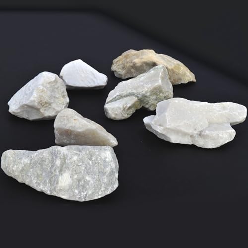 Image of EISCO 6PK Raw Fine White Marble, Metamorphic Rock Specimens - Approx. 1 inch - Geologist Selected & Hand Processed - Great for Science Classrooms - Class Pack
