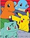 Pokemon Pikachu Throw Silky Blanket 40x50
