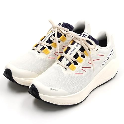 SALOMON(サロモン) AERO BLAZE 3 GRVL GTX W VICE/A AURA/LEMON 24.0