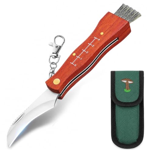 GMRIEK 1 Pezzo Coltello Funghi,Coltello per Funghi con Spazzola,Con Sacchetto per Riporlo,Pieghevole,Piccolo e Portatile,Adatto per la Raccolta All'aperto,La lama è lunga 5,5 cm