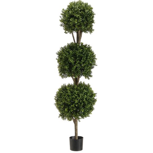 5' Triple Ball-Shaped Boxwood Topiary in Plastic Pot Two Tone Green