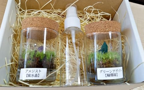 [苔テラリウム] 鉱石入り テラリウム 2つセット [インテリア] 育て方のしおり 付き 植物 テラリウム 苔テラリウム 苔 こけ コケ セット