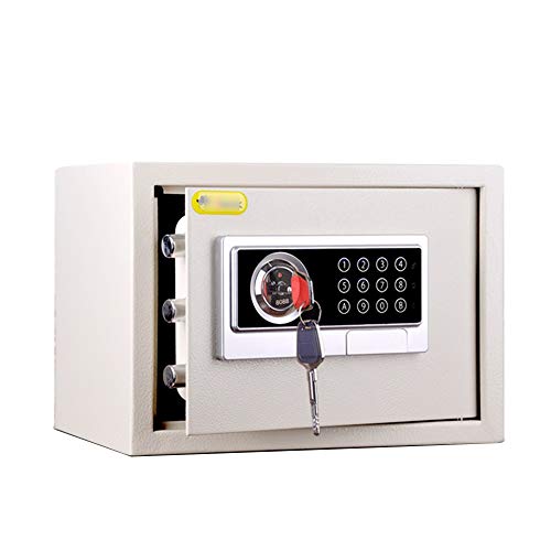 FQCXCKJ Caja Fuerte pequeña de 25 cm, antirrobo, Invisible, con contraseña, para el hogar, la Oficina, de Acero, para Pared, mesita de Noche (Llave Blanca).