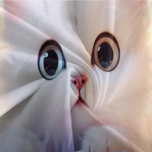 Housse de couette chat mignon pour chambre ado lit double avec fermeture éclair