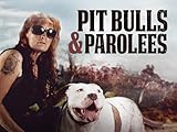 Pit Bulls & Parolees - Season 11