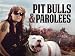 Pit Bulls & Parolees Season 11