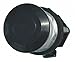 Eaton HT8AEHB Non-Illuminated Push Button,30mm,Black