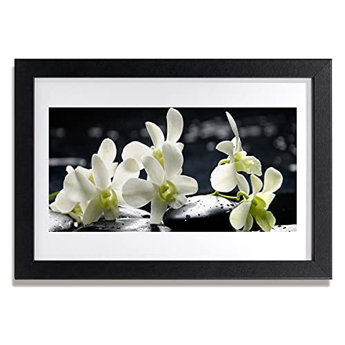 Affiche encadrée photo 30x20 cm de plante fleur d'orchidée avec cadre de décoration