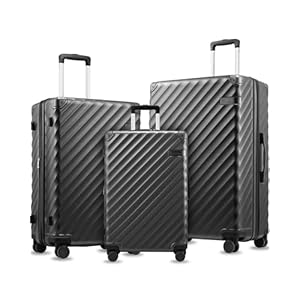 LUGGEX Luggage with Spinner Wheels,...