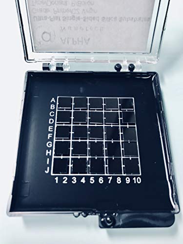 Puces de silice de première qualité Alpha Nanotech 5 x 5 mm pour analyse