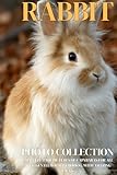 Rabbit Photo Collection: Gentle Full-Page Pictures of Rabbits and Bunnies for All Ages (Calming Pet Books), with Amazing Facts