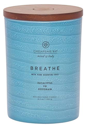 Chesapeake Bay Candle Mind & Body Serenity Scented Candle, Breathe with Pure Essential Oils (Eucalyptus, Fir, Petitgrain), Medium