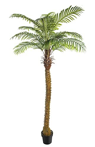 AMERIQUE Gorgeous Tech, w Gorgeous & Unique 5 Feet Phoenix Palm Artificial Plant Tree with Nursery Plastic Pot, Real Touch Technology, 5', Green