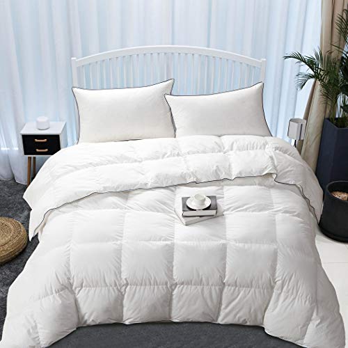 WENERSI White Down Comforter Full/Queen Size,Duvet Insert 1000TC- 100% Egyptian Cotton Cover with Ultra Fresh,750+ Fill Power