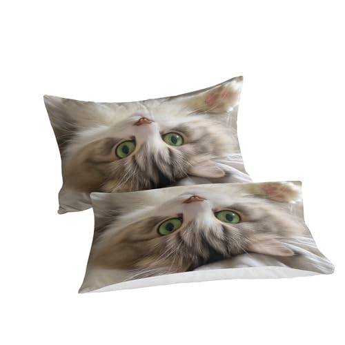 Parure de lit chat pour chambre d'enfant et lit double adulte cocooning - 3