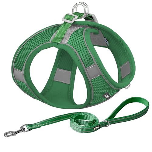 AIITLE No Pull Dog Harness and Leash Set, Step in Adjustable Dog Harness with Padded Vest for All Weather, Dog Leash with Soft Padded Handle, Easy to Put on Small and Medium Dogs Green S
