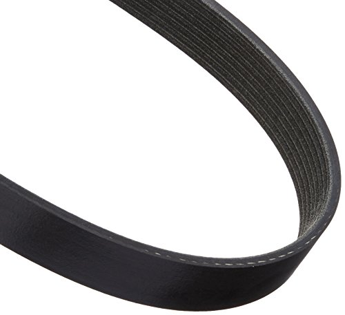Courroie nervurée en V Motorcraft JK81337B d'origine pour moteur de voiture