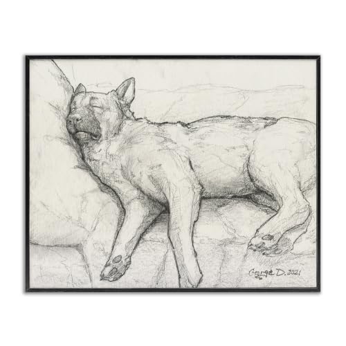 Tired Dog Sleeping Graphite Sketch, 24 x 30 Inch Framed Giclée Print
