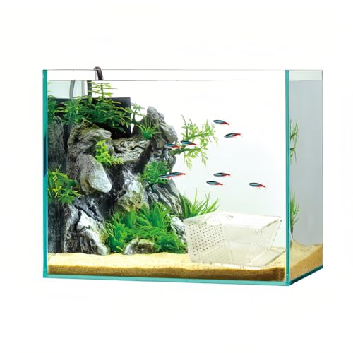 Piège à crabe Joyzan poisson aquarium eau douce acrylique - 5