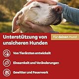 Doppelherz Relax Spray für Hunde - Umgebungsspray für mehr Wohlbefinden - geruchsneutral - 90 ml