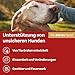 Doppelherz Relax Spray für Hunde - Umgebungsspray für mehr Wohlbefinden - geruchsneutral - 90 ml