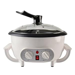 Koffieoester, elektrische koffiezetapparaat, huishouden, koffiebonen, roostermachine, 750 g, 0-240 °C, instelbare temperatuur 220 V
