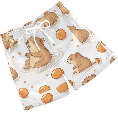 Pigsaly Boys' Swim Board Shorts Cute Capybara Balls Boy's Swim Trunks Kids Swimwear S Multicolor