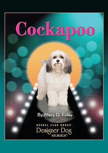 Cockapoo (Designer Dog) view 2